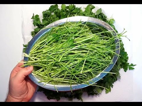 HOW TO AIR-DRY PARSLEY ? - YouTube
