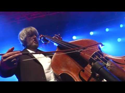 Wildes Holz  ASTREIN