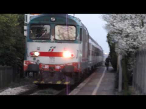 La Tartaruga Elettronica - d445-1085 in arrivo a FRATTE CENTRO