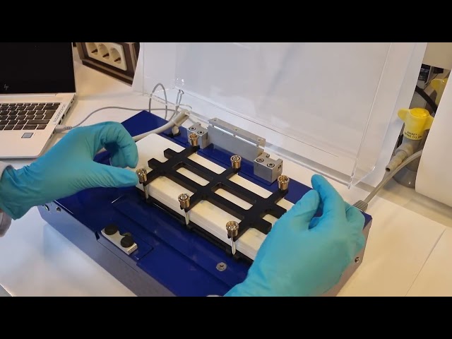 Einstufige Extraktion sauberer Proben aus komplexen biologischen Matrizes