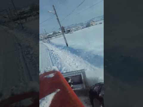 Deszapezire Simnicu de Sus 2017