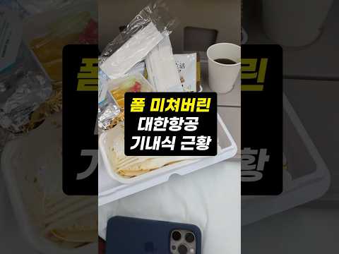 대한항공 오사카발 기내식 체험기: '한박 스테이크'의 매력