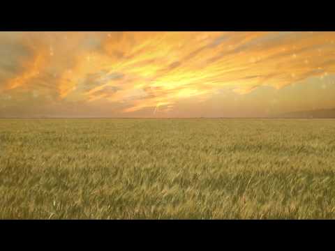 Thomas Gold feat. Bright Lights - Believe (Delta Noise Remix) (Lyric Video)