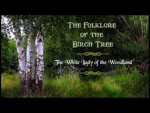 BIRCH TREE FOLKLORE & MYTHOLOGY. Superstitions, Fairies, Witches, Fairy, Ghosts, Celtic Myths