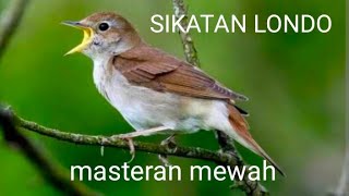 Download lagu SIKATAN LONDO masteran mewah dengan jeda mp3