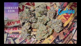 Cookies: Hawaiian Rain (Strain Review)