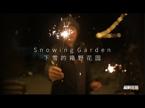 下雪的箱野花园丨Snowing Garden