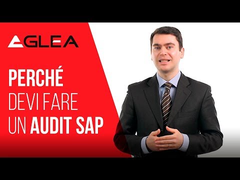 Perché devi fare un audit SAP