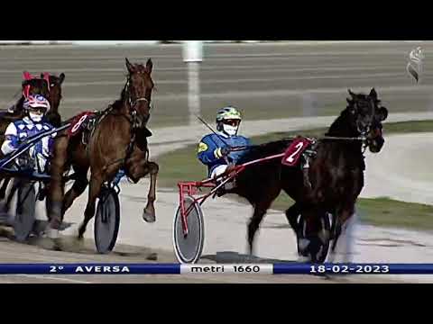 Aversa trotto 18 Febbraio 2023 - 2° Corsa