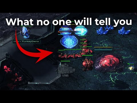How to actually stop cannon rush (the easy way)