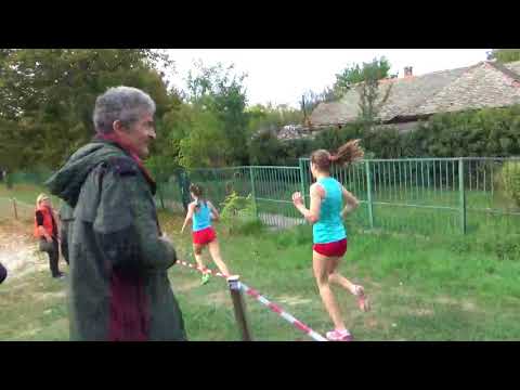 AnaDragojevic-Kros-Vrbas-2017