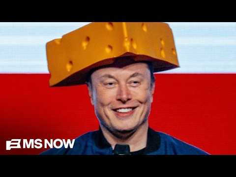 Musk is getting his “GRUBBY LITTLE PAWS” back in politics