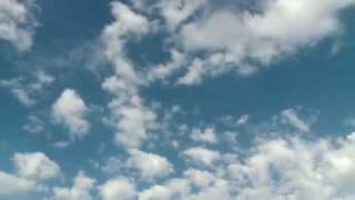 Asher Quinn (Asha) sings 'Flying away'