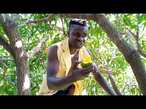 OMULOSI Episode 1 |KOMBO Skits