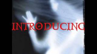 Spider Lilies - In The Light (Album)