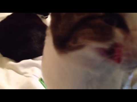 Dora's skin condition