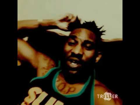 2phonez Train by the wolves