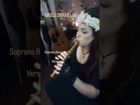 Who Would Win?  Recorder vs. Low Whistle | #folkmusic #irishmusic #shortsvideo