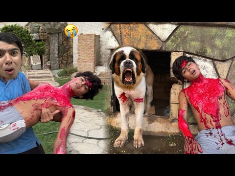 Ranjha Dog Ny Subhan Pr Hamla Kr Diya 😭 