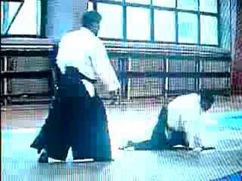 Tendoryu Aikido