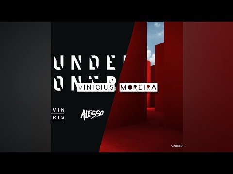 Calvin Harris & Alesso vs RÜFÜS DU SOL - Under Control vs On My Knees (Alesso Mashup)