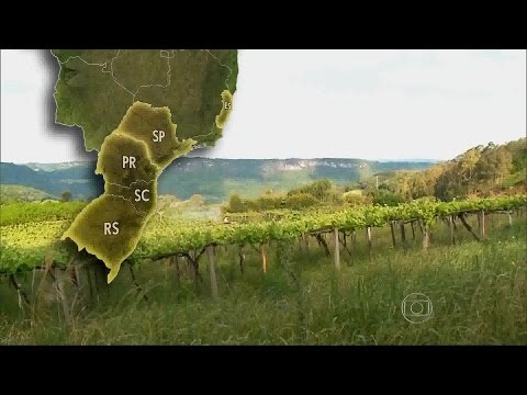 Globo Repórter - A Imigração Italiana