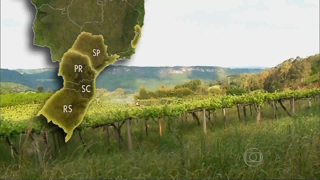 Globo Repórter - A Imigração Italiana