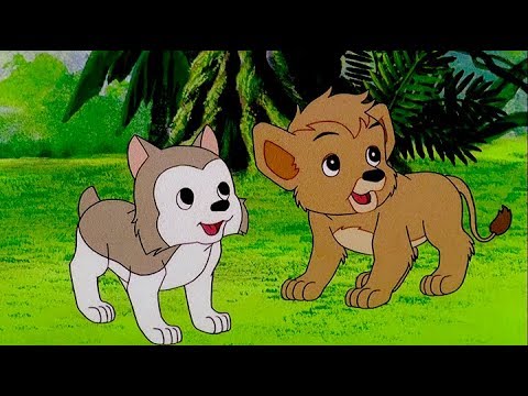 SIMBA LE ROI LION | Partie 4 | Épisode Complet | Français | Simba The King Lion