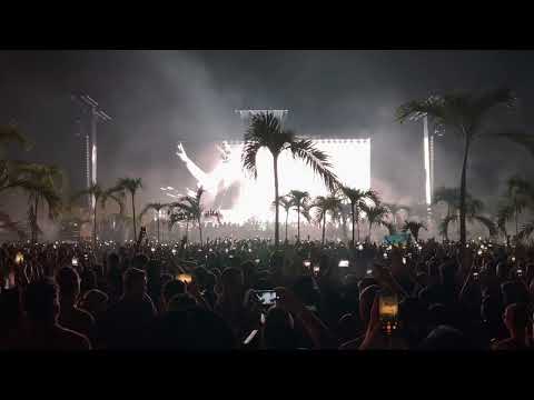 Artbat x Zamna Tulum 🌴