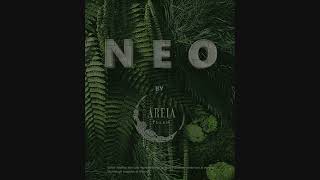 NEO APARTMENTS at Tulum Quintana Roo Mexico