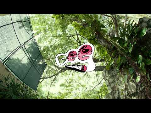 Dee - El Bandido de Reynosa (Acapulco Cypher)