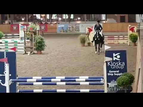 Erin *2012 Holsteiner mare by Uriko - Cormint - Casall