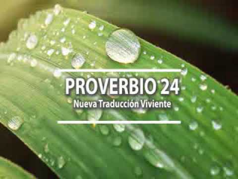 Proverbio del día 24 - Biblia Hablada // AudioBiblia - NVI