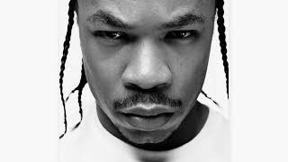 Xzibit - Enemies &amp; Friends