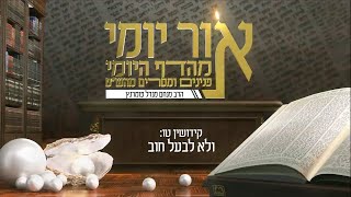 הרב מנחם מנדל פומרנץ | אור יומי מהדף היומי - קידושין טו • ולא לבעל חוב •