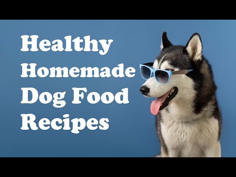 Healthy Homemade Dog Food Recipes: Easy and Nutritious Meals for Your Furry Friend #HomemadeDogFood