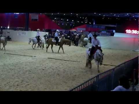 Equitalyon 2012 COLORED BY ASSET Western Pleasure Futurities APHCF