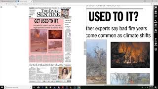 Daily Sentinel e-edition tutorial