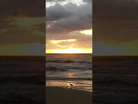 Cidreira, Rio Grande do Sul                        #nature #beach #vida #natureza #praia #alvorada