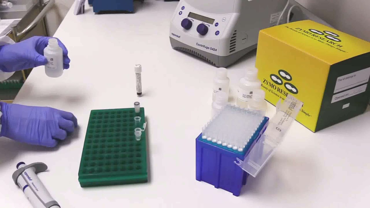 ZymoBIOMICS DNA Miniprep Kit Protokol TR