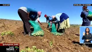 Potato farmers concerned with impact of cheap foreign potato products into the South African market