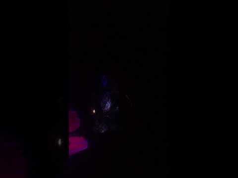 Audiokidnapping 1 live in Terra Dark Kittens