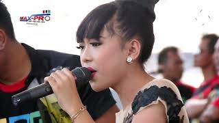Download lagu Gita Cinta - Gerry Mahesa Ft. Nisa Pantura | New Pallapa BOROS Team (2017) mp3 Download lagu Gita Cinta - Gerry Mahesa Ft. Nisa Pantura | New Pallapa BOROS Team (2017) mp3