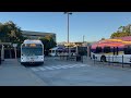 Glendale Beeline Bus Spotting 12 05 2025