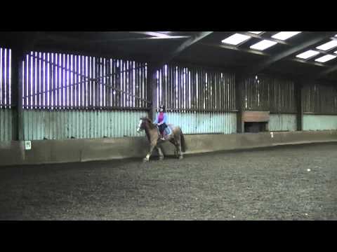 Me cantering Sheamus!xxxxxxxxxxxxx