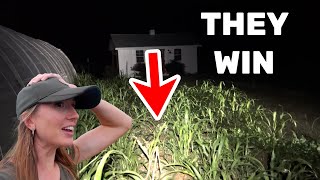 Our Fall Garden was DESTROYED by Pests