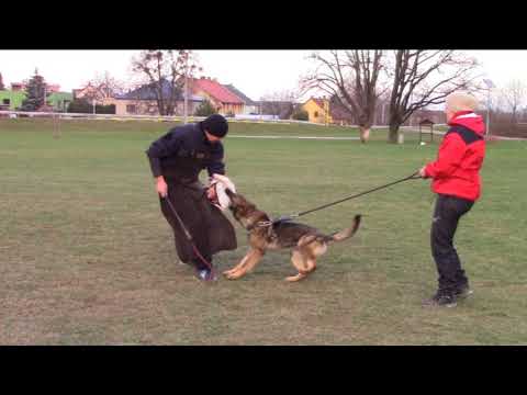 Oudrey z Jukasu - protection training - 10 months