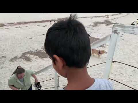 Highlight 5:30 – 10:29 from Adelaide beach