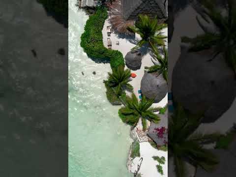 Aya Beach Resort - Zanzibar 🌴 #shorts #short #shortvideo #shortsvideo