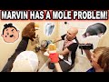 MARVIN HAS A MOLE PROBLEM